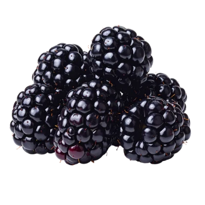 Fresh Ripe Blackberries