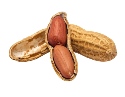 Fresh Shelled Peanuts