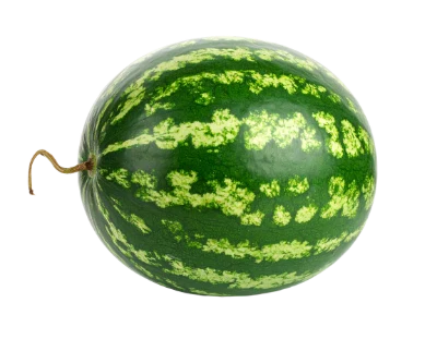 Fresh Whole Watermelon