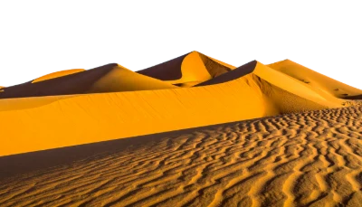 Golden Sand Dunes Landscape