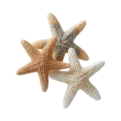 Group Of Starfish