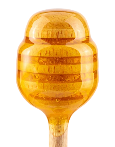 Honey Dipper With Honey