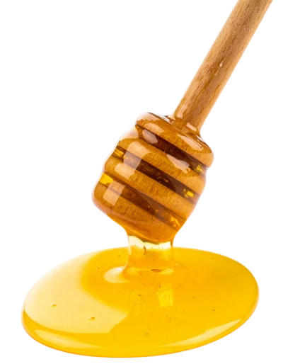 Honey Dipper With Honey