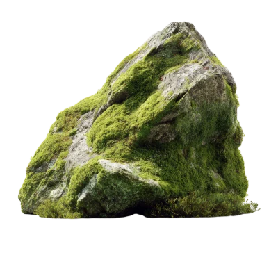 Mossy Stone Rock