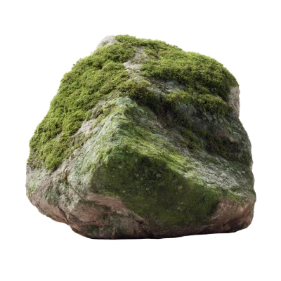 Mossy Stone Rock