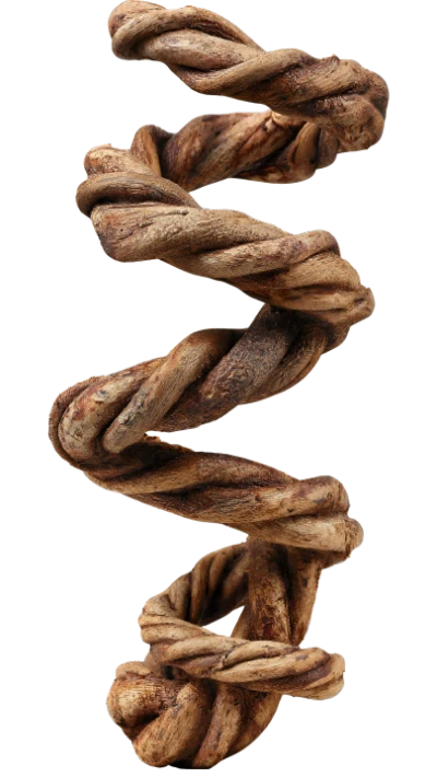 Twisted Brown Tree Vine