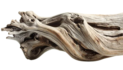 Weathered Driftwood Log
